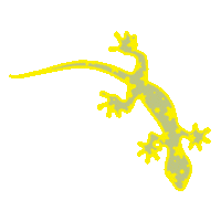 Road Trip Lizard Sticker by UrbanOutfitters