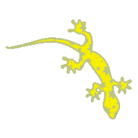 Road Trip Lizard Sticker by UrbanOutfitters