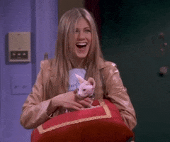 Season 5 Episode 118 GIF by Friends