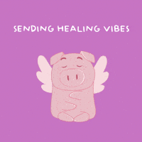 Thinking Of You Pig GIF by PositivelyPigasus