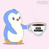 Good Morning Coffee GIF by Pudgy Penguins