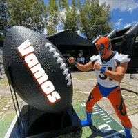 Lucha Libre Sport GIF by Guerrero Maya