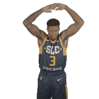 SLCStars basketball nba stars hype Sticker