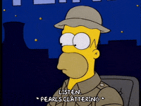 homer simpson GIF
