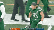 Regular Season Football GIF by NFL