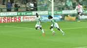 ytfc GIF by Yeovil Town FC