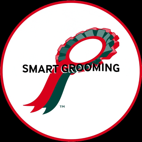 Smartgrooming giphygifmaker horse showing grooming GIF