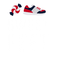 James White Football Sticker by New England Patriots