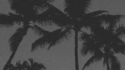 Next Step Community GIF by Mariners Church