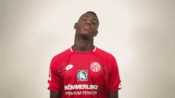 GIF by 1. FSV Mainz 05