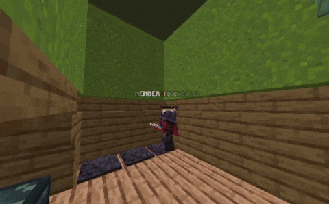 Minecraft Meme GIF