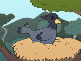 Bird Tree GIF
