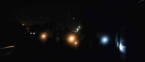 and so we put goldfish in the pool GIF by NOWNESS