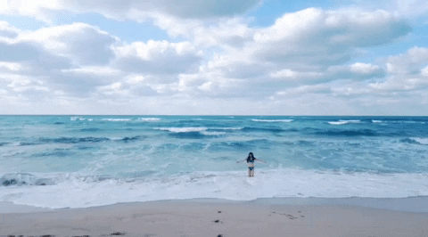 seotor_7 giphyupload GIF
