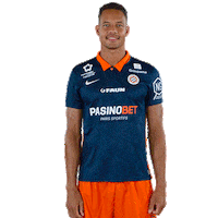 Congre Sticker by MHSC