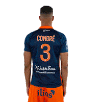 Congre Sticker by MHSC