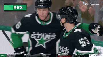 Happy Dallas Stars GIF by NHL