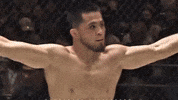 Japan Ufc GIF