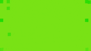 Football Gameday GIF by Seattle Seahawks