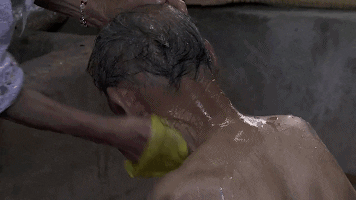 tingtinglu giphyupload GIF