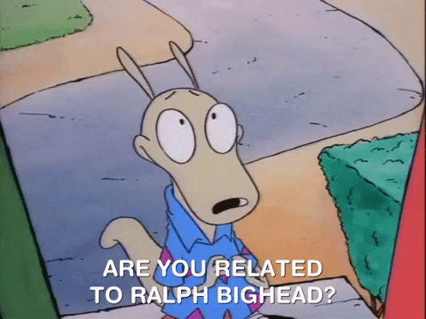 rockos modern life nicksplat GIF