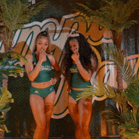 South Florida Horns Up GIF by USF Athletics