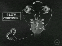 black and white vintage GIF by Okkult Motion Pictures