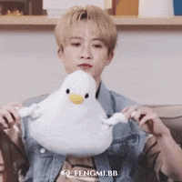 邱鋒澤 GIF