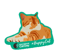 icatcare happycat internationalcatday internationalcatday2020 icatcare Sticker