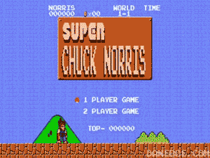 chuck norris GIF