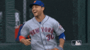 High Five Ny Mets GIF by New York Mets