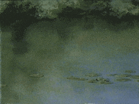 my neighbor totoro animation GIF by rotomangler