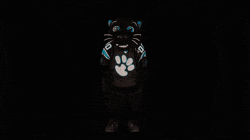 Football Sport GIF by Carolina Panthers