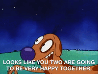 nicksplat GIF