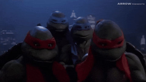 Martial Arts Comedy GIF by Arrow Video