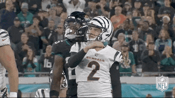National Football League GIF by NFL