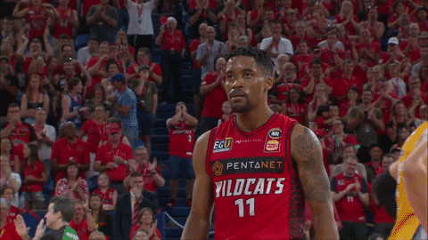 get up nba GIF by Perth Wildcats