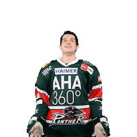 Sticker by Augsburger Panther Eishockey GmbH