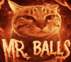 M7Md1Memes GIF