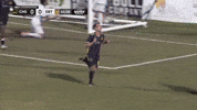 South Carolina Soccer GIF by Charleston Battery