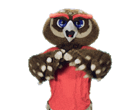 Fau Owls Sticker by Florida Atlantic University