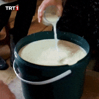 Milk Maya GIF by TRT