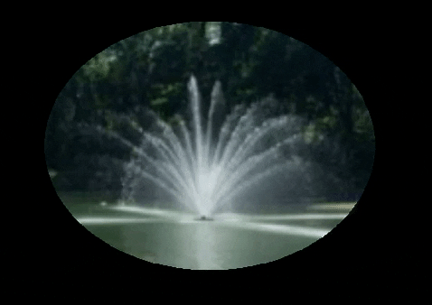 GIF by St. Kate's