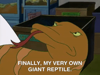 hey arnold nicksplat GIF