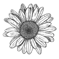 Aleiana Sticker by Zaico