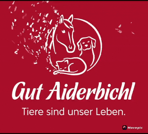 GutAiderbichl giphyupload gutaiderbichl wirliebentiere gerettetetiere GIF