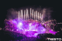 electronic music edm GIF by Tiësto