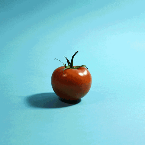 animation tomato GIF by Evan Hilton