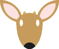 Eyes Sticker