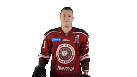 Sticker by TIPOS Slovenská hokejová liga